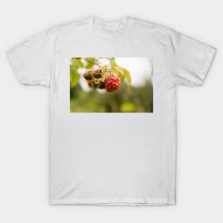 blb red raspberry T-Shirt